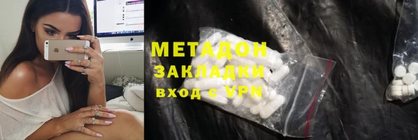 ПСИЛОЦИБИНОВЫЕ ГРИБЫ Дмитриев